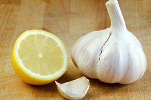 the treatment of varicose veins with extract of garlic and lemon